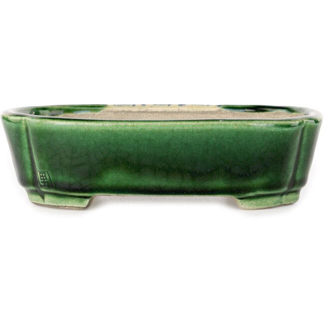 Pot à bonsaï Mokko vert craquelé avec accent bleu par Terahata Satomi Mazan - 160 x 120 x 45 mm