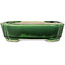 Mokko green craquelé with a blue accent bonsai pot by Terahata Satomi Mazan - 160 x 120 x 45 mm