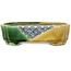 Vaso bonsai Mokko giallo e verde craquelé di Terahata Satomi Mazan - 160 x 120 x 45 mm