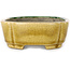 Mokko yellow and green craquelé bonsai pot by Terahata Satomi Mazan - 160 x 120 x 45 mm