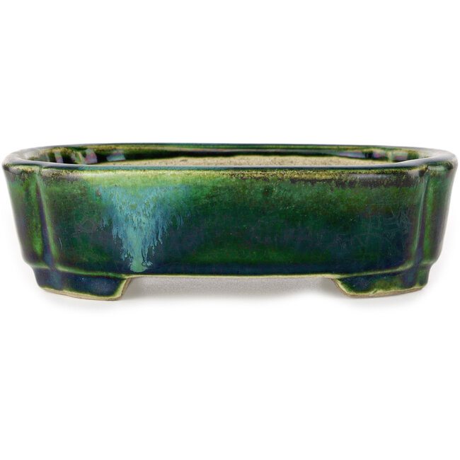 Pot à bonsaï Mokko vert avec accent bleu par Terahata Satomi Mazan - 160 x 120 x 45 mm