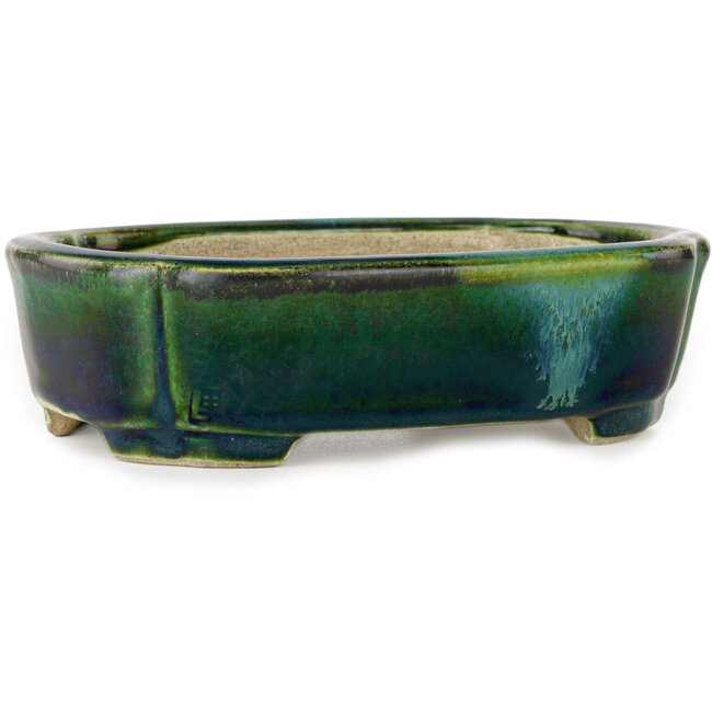 Pot à bonsaï Mokko vert avec accent bleu par Terahata Satomi Mazan - 160 x 120 x 45 mm