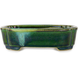  Satomi Mazan, Mazan Terahata 160 mm mokkogrüne Bonsaischale mit blauem Akzent von Terahata Satomi Mazan, Tokoname, Japan