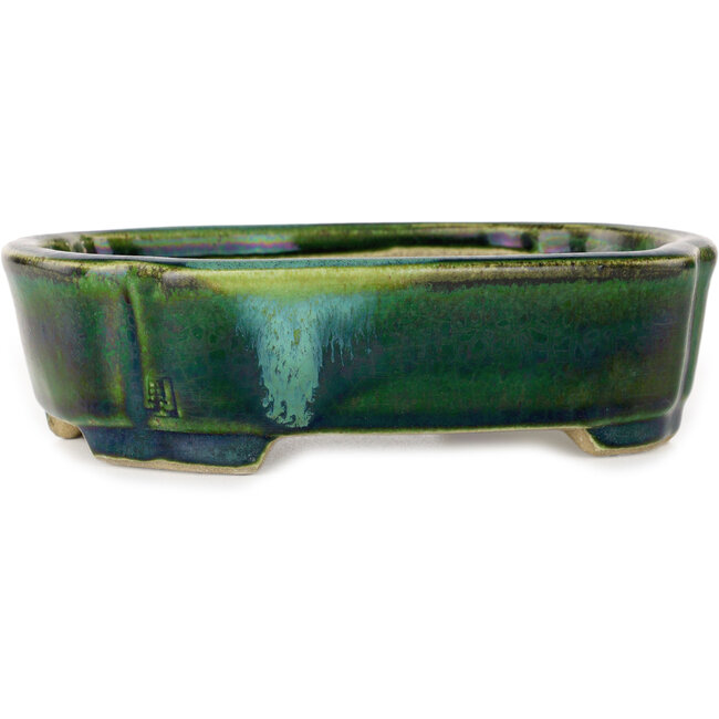 Mokkogrüner Bonsaitopf mit blauem Akzent von Terahata Satomi Mazan – 160 x 120 x 45 mm