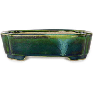  Satomi Mazan, Mazan Terahata Maceta para bonsái verde mokko de 160 mm con detalles en azul de Terahata Satomi Mazan, Tokoname, Japón