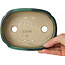 Mokko green with a blue accent bonsai pot by Terahata Satomi Mazan - 160 x 120 x 45 mm
