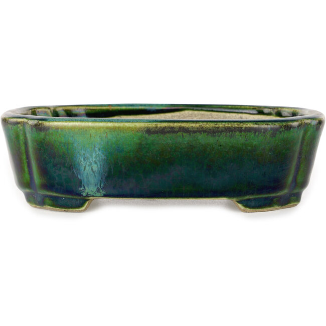 Vaso bonsai Mokko verde con accenti blu di Terahata Satomi Mazan - 160 x 120 x 45 mm