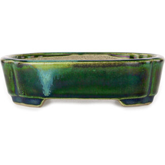  Satomi Mazan, Mazan Terahata Pot à bonsaï vert mokko de 160 mm avec un accent bleu par Terahata Satomi Mazan, Tokoname, Japon