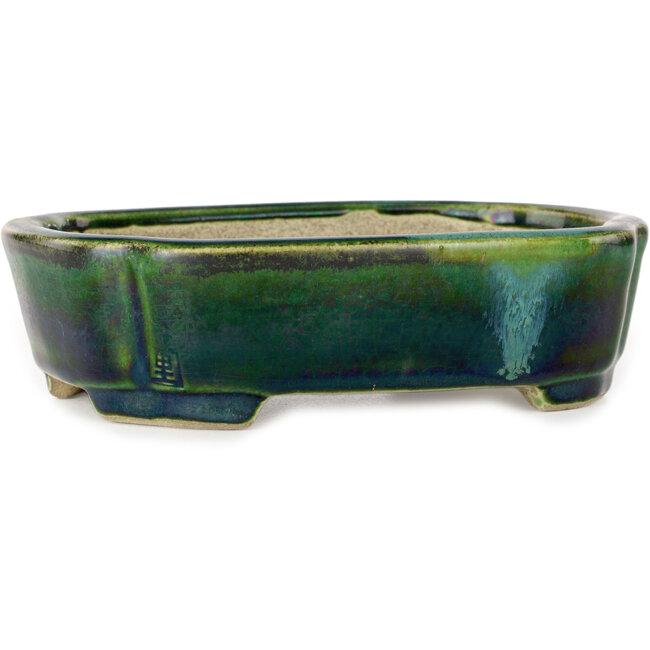 Pot à bonsaï Mokko vert avec accent bleu par Terahata Satomi Mazan - 160 x 120 x 45 mm