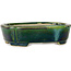 Mokko green with a blue accent bonsai pot by Terahata Satomi Mazan - 160 x 120 x 45 mm