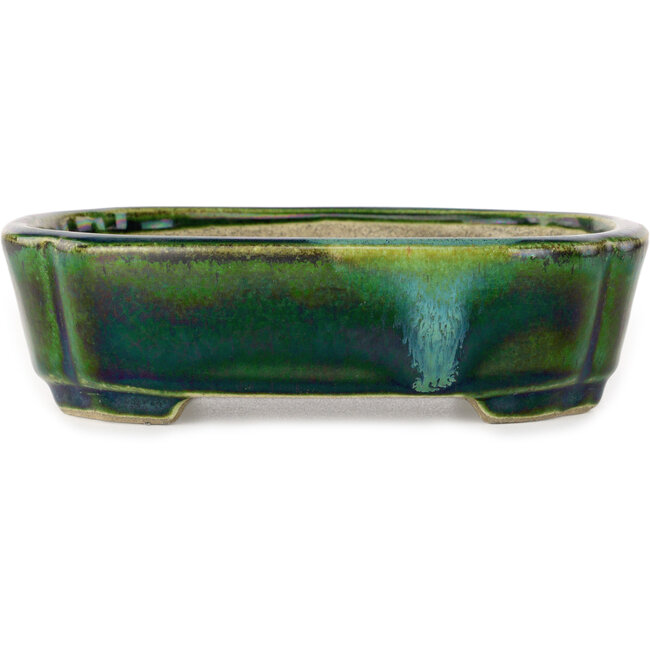 Mokkogrüner Bonsaitopf mit blauem Akzent von Terahata Satomi Mazan – 160 x 120 x 45 mm