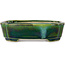Mokko green with a blue accent bonsai pot by Terahata Satomi Mazan - 160 x 120 x 45 mm