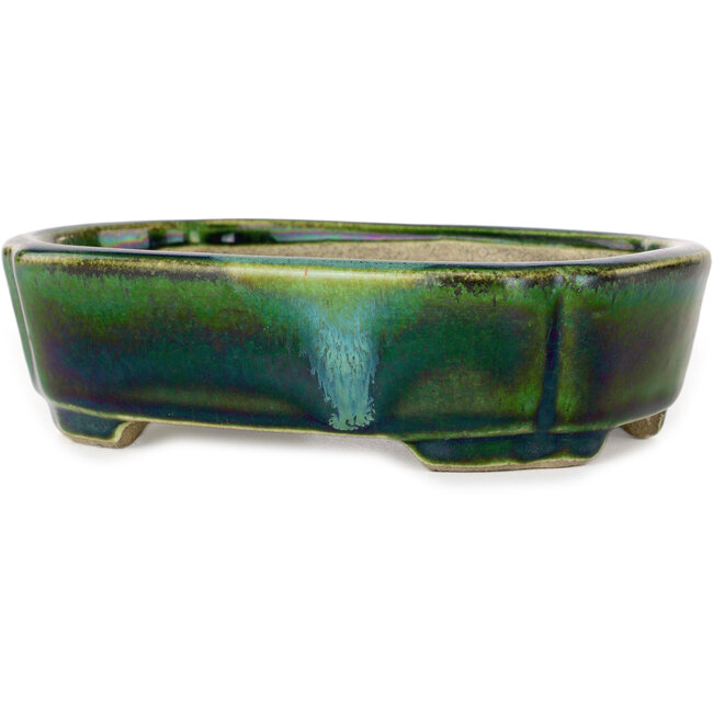 Pot à bonsaï Mokko vert avec accent bleu par Terahata Satomi Mazan - 160 x 120 x 45 mm