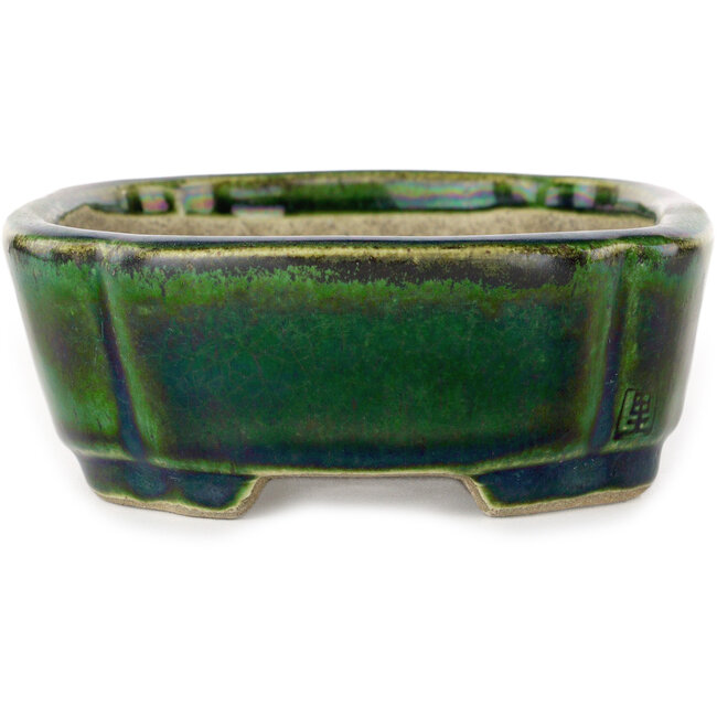 Maceta para bonsái verde Mokko con detalles en azul de Terahata Satomi Mazan - 160 x 120 x 45 mm