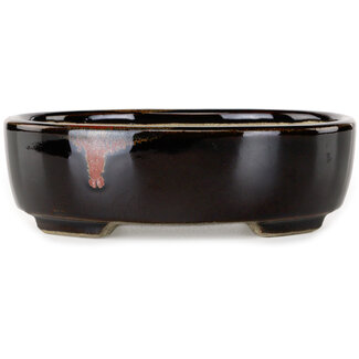  Satomi Mazan, Mazan Terahata Pot à bonsaï ovale brun de 157 mm avec un accent rouge, par Terahata Satomi Mazan, Tokoname, Japon