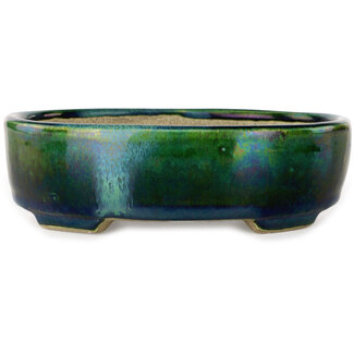  Satomi Mazan, Mazan Terahata 157 mm ovale groen met een blauw accent bonsaipot van Terahata Satomi Mazan, Tokoname, Japan