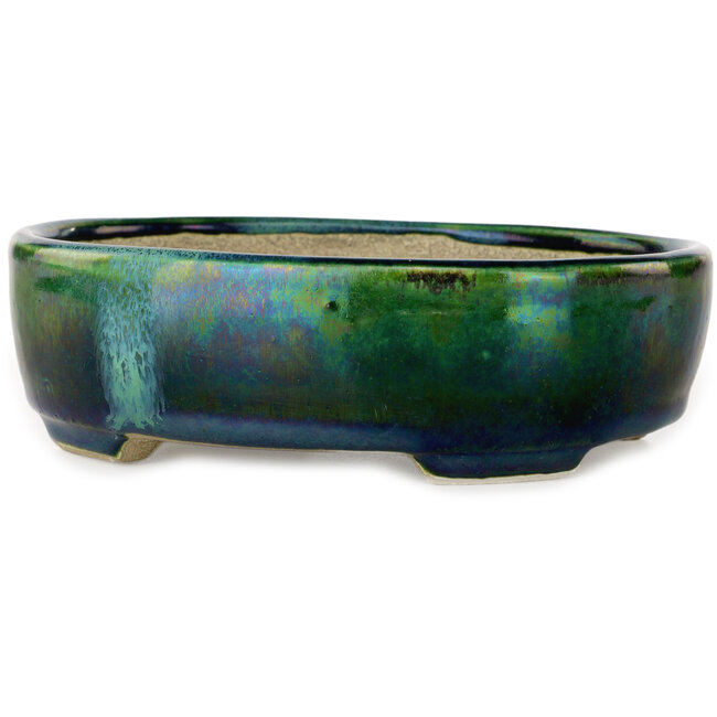 Maceta ovalada para bonsái verde con detalles en azul de Terahata Satomi Mazan - 157 x 130 x 47 mm