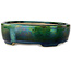 Ovaler grüner Bonsai-Topf mit blauem Akzent von Terahata Satomi Mazan – 157 x 130 x 47 mm
