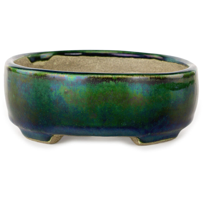 Ovaal groen met blauw accent bonsaipot van Terahata Satomi Mazan - 157 x 130 x 47 mm