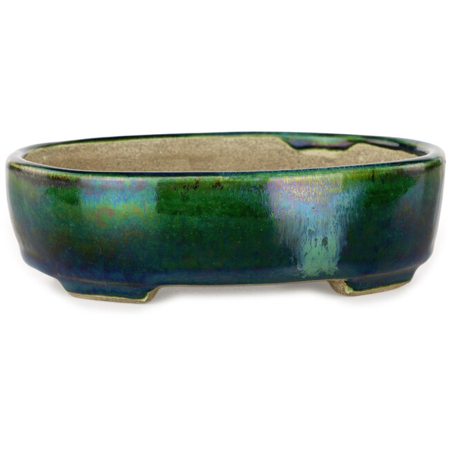 Maceta ovalada para bonsái verde con detalles en azul de Terahata Satomi Mazan - 157 x 130 x 47 mm