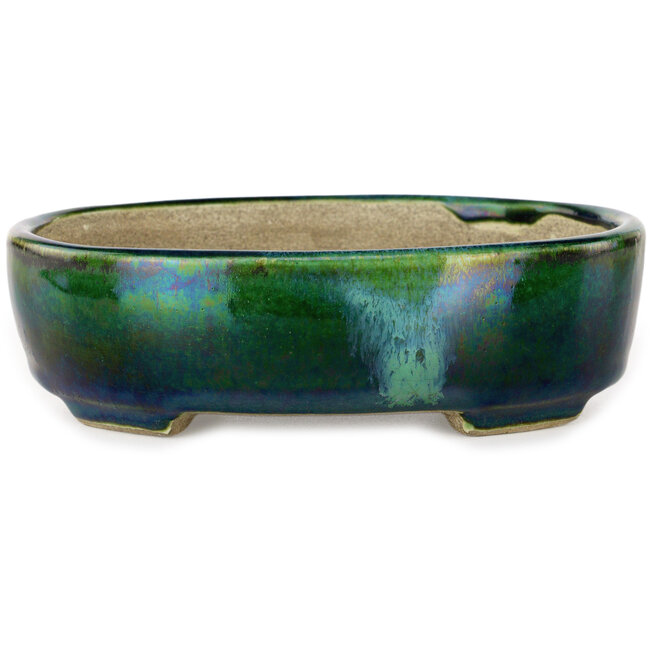 Maceta ovalada para bonsái verde con detalles en azul de Terahata Satomi Mazan - 157 x 130 x 47 mm