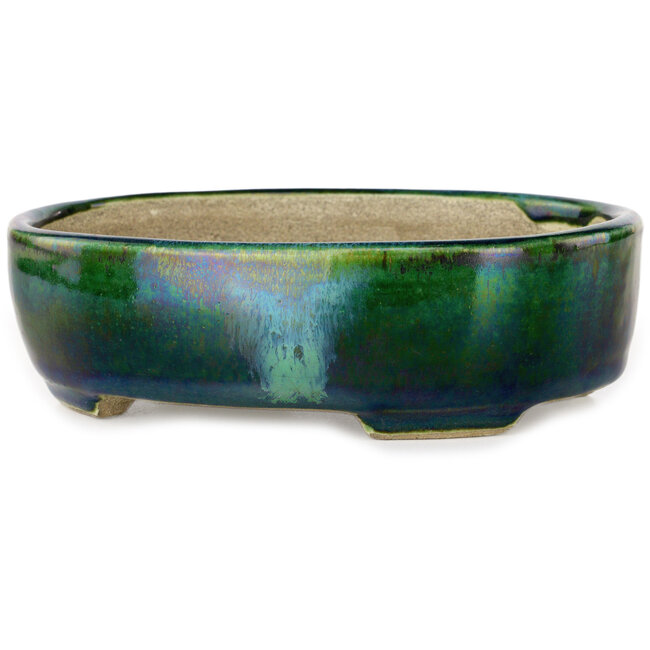 Vaso bonsai ovale verde con accenti blu di Terahata Satomi Mazan - 157 x 130 x 47 mm