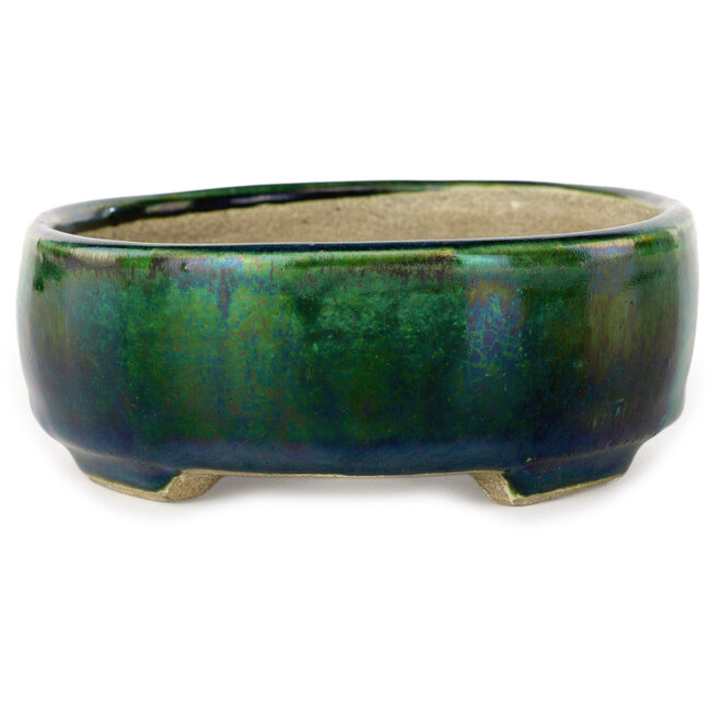 Vaso bonsai ovale verde con accenti blu di Terahata Satomi Mazan - 157 x 130 x 47 mm