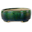Maceta ovalada para bonsái verde con detalles en azul de Terahata Satomi Mazan - 157 x 130 x 47 mm