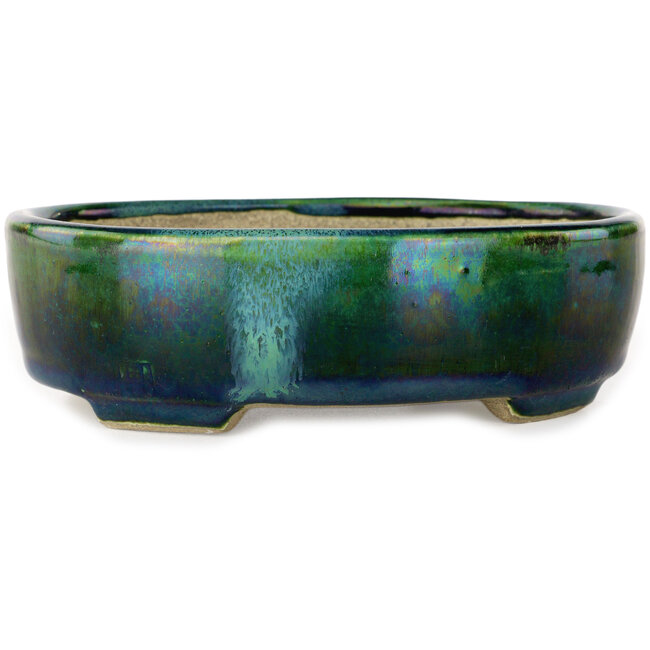 Ovaal groen met blauw accent bonsaipot van Terahata Satomi Mazan - 157 x 130 x 47 mm