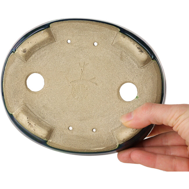 Pot à bonsaï ovale vert avec accent bleu par Terahata Satomi Mazan - 157 x 130 x 47 mm