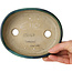 Vaso bonsai ovale verde con accenti blu di Terahata Satomi Mazan - 157 x 130 x 47 mm