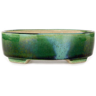  Satomi Mazan, Mazan Terahata 157 mm oval green craquelé with a blue accent bonsai pot by Terahata Satomi Mazan, Tokoname, Japan