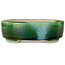 Maceta de bonsái craquelé verde ovalada con detalles en azul de Terahata Satomi Mazan - 157 x 130 x 47 mm