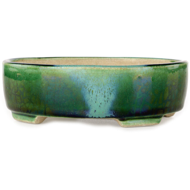 Ovale groene craquelé met een blauw accent bonsaipot van Terahata Satomi Mazan - 157 x 130 x 47 mm