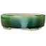 Oval green craquelé with a blue accent bonsai pot by Terahata Satomi Mazan - 157 x 130 x 47 mm