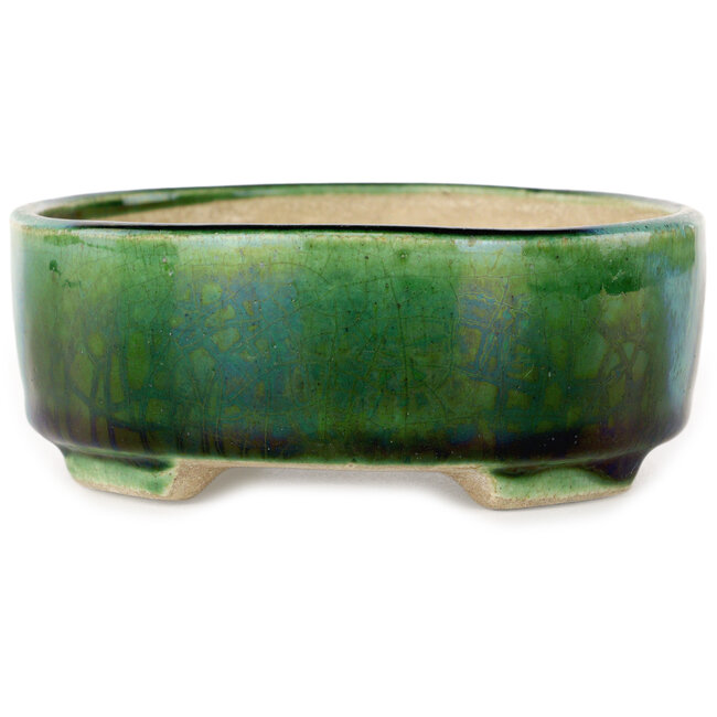 Pot à bonsaï ovale vert craquelé avec accent bleu par Terahata Satomi Mazan - 157 x 130 x 47 mm