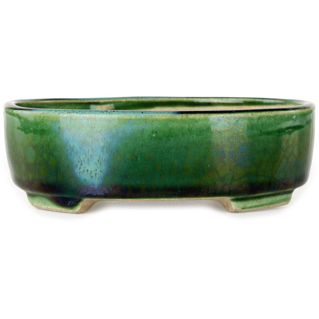 Pot à bonsaï ovale vert craquelé avec accent bleu par Terahata Satomi Mazan - 157 x 130 x 47 mm