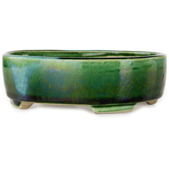 Ovale grüne Craquelé-Bonsaischale mit blauem Akzent von Terahata Satomi Mazan – 157 x 130 x 47 mm