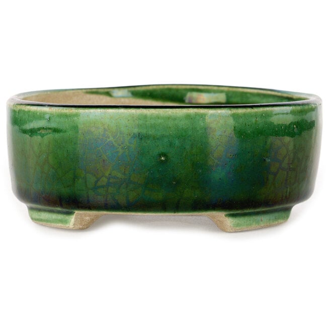 Ovale grüne Craquelé-Bonsaischale mit blauem Akzent von Terahata Satomi Mazan – 157 x 130 x 47 mm