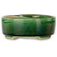 Maceta de bonsái craquelé verde ovalada con detalles en azul de Terahata Satomi Mazan - 157 x 130 x 47 mm