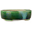 Pot à bonsaï ovale vert craquelé avec accent bleu par Terahata Satomi Mazan - 157 x 130 x 47 mm