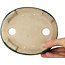 Oval green craquelé with a blue accent bonsai pot by Terahata Satomi Mazan - 157 x 130 x 47 mm