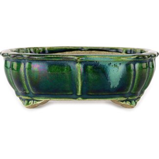  Satomi Mazan, Mazan Terahata 172 mm lotusgroen met een blauw accent bonsaipot van Terahata Satomi Mazan, Tokoname, Japan