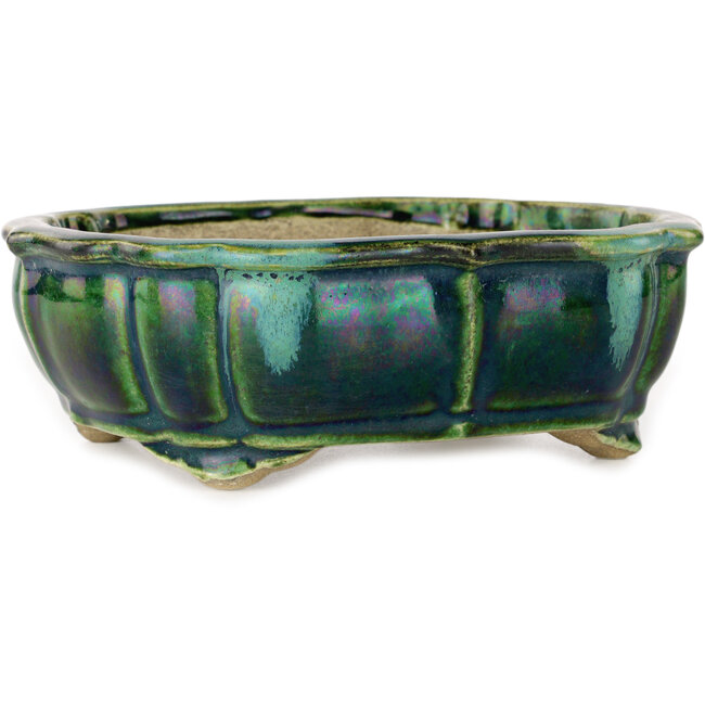 Pot à bonsaï vert lotus avec accent bleu par Terahata Satomi Mazan - 172 x 145 x 55 mm