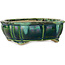 Lotus green with a blue accent bonsai pot by Terahata Satomi Mazan - 172 x 145 x 55 mm