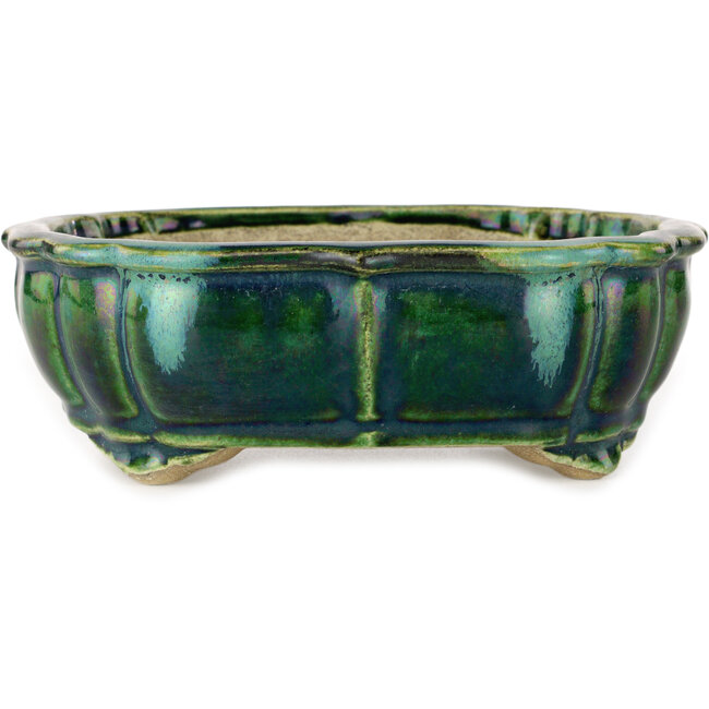 Vaso bonsai verde loto con accenti blu di Terahata Satomi Mazan - 172 x 145 x 55 mm