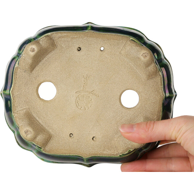 Pot à bonsaï vert lotus avec accent bleu par Terahata Satomi Mazan - 172 x 145 x 55 mm