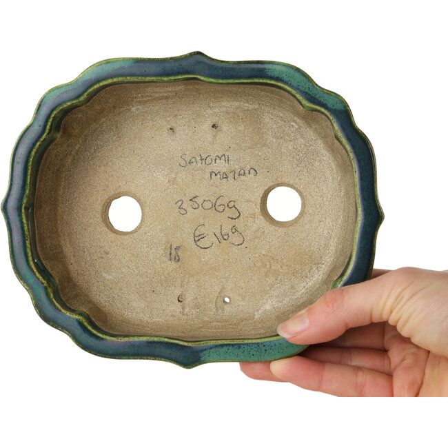 Lotusgrüner Bonsaitopf mit blauem Akzent von Terahata Satomi Mazan – 172 x 145 x 55 mm