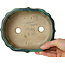 Lotus green with a blue accent bonsai pot by Terahata Satomi Mazan - 172 x 145 x 55 mm