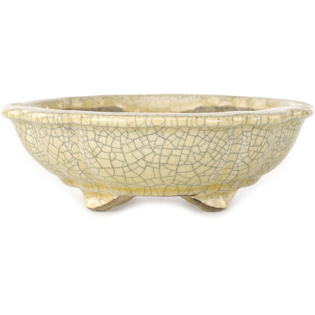 Lotus off-white craquelé bonsai pot by Terahata Satomi Mazan - 182 x 154 x 48 mm